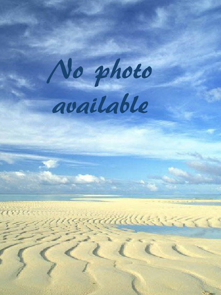 White and Black Whale Bag